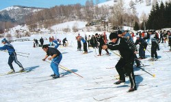 Алтайская республиканская организация профсоюза