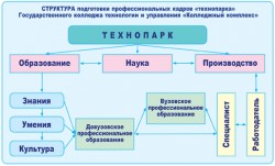 Структура подготовки профессиональных кадров «технопарка» Государственного колледжа технологии и управления «Колледжный комплекс»